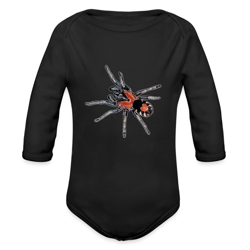 Baby Body lang Cyriocosmus elegans - Schwarz