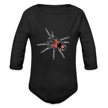 Baby Body lang Cyriocosmus elegans - Schwarz