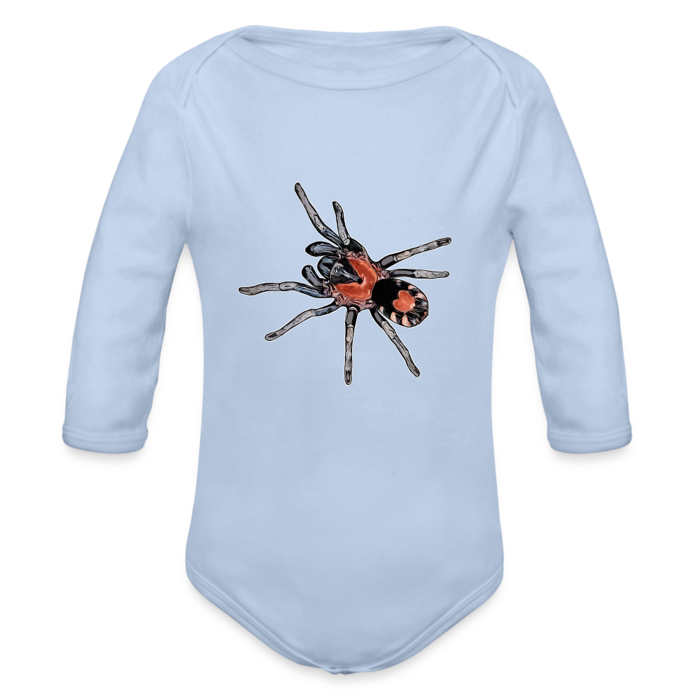 Baby Body lang Cyriocosmus elegans - Sky