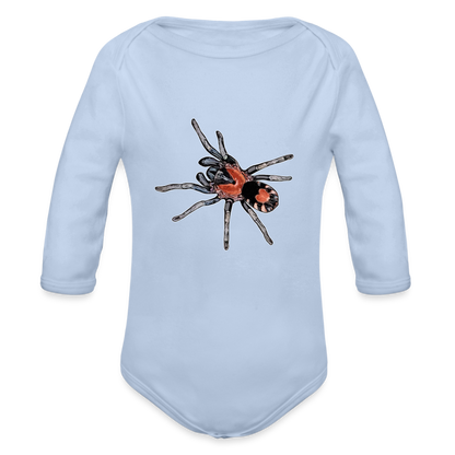 Baby Body lang Cyriocosmus elegans - Sky