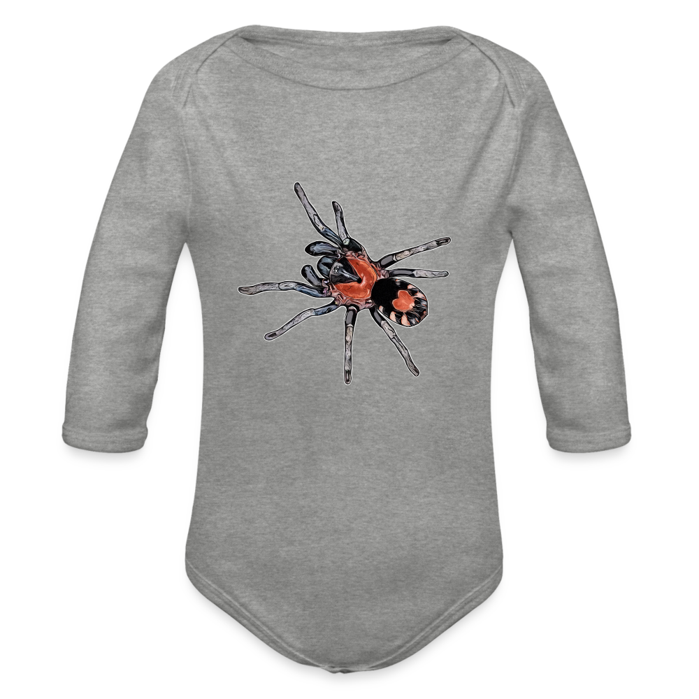 Baby Body lang Cyriocosmus elegans - Grau meliert