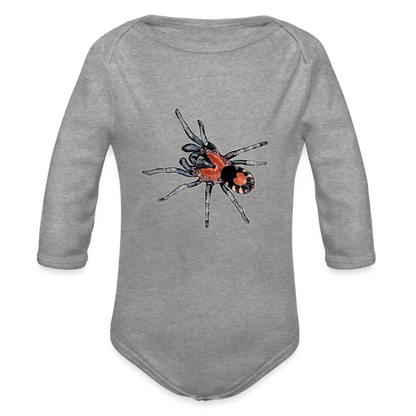 Baby Body lang Cyriocosmus elegans - Grau meliert