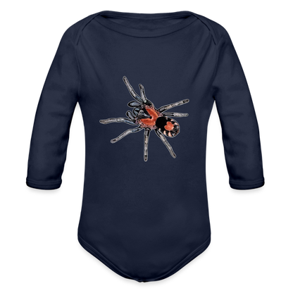 Baby Body lang Cyriocosmus elegans - Dunkelnavy