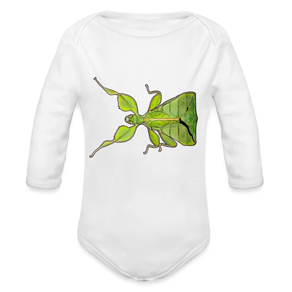 Baby Body lang Phyllium philippinicum female - weiß