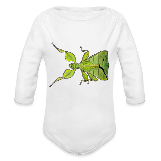 Baby Body lang Phyllium philippinicum female - weiß