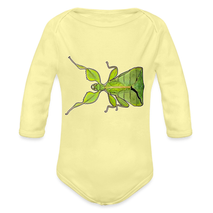 Baby Body lang Phyllium philippinicum female - Hellgelb