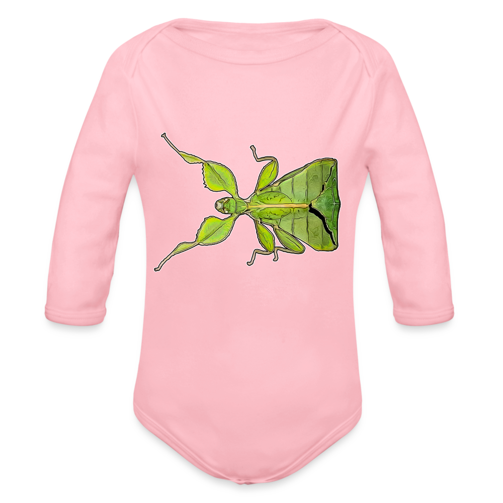 Baby Body lang Phyllium philippinicum female - Hellrosa