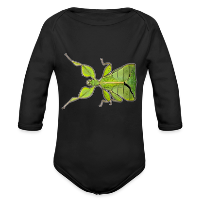 Baby Body lang Phyllium philippinicum female - Schwarz