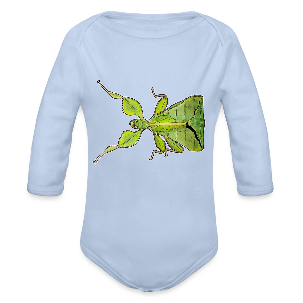 Baby Body lang Phyllium philippinicum female - Sky