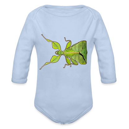 Baby Body lang Phyllium philippinicum female - Sky