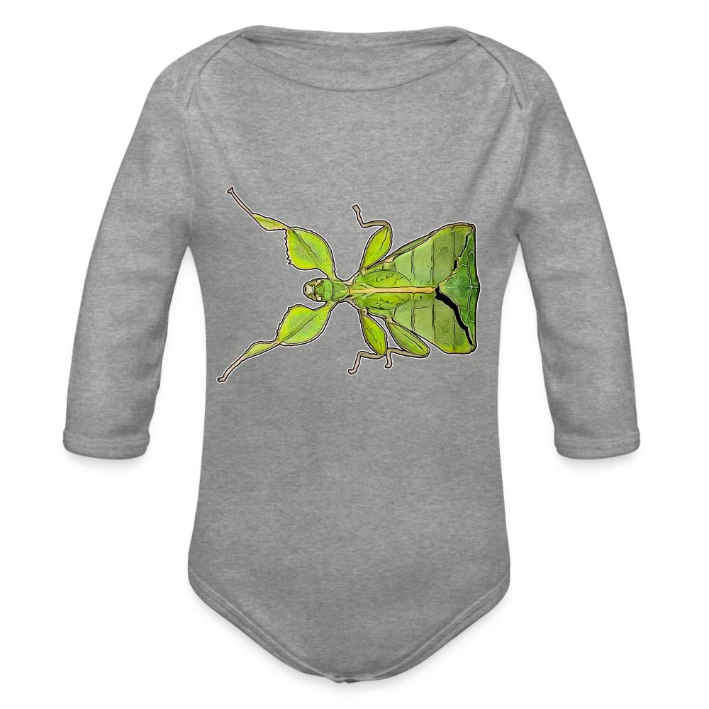 Baby Body lang Phyllium philippinicum female - Grau meliert