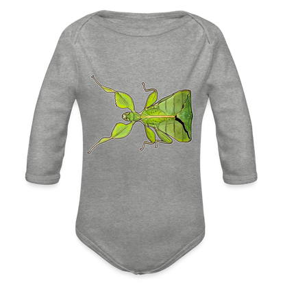 Baby Body lang Phyllium philippinicum female - Grau meliert