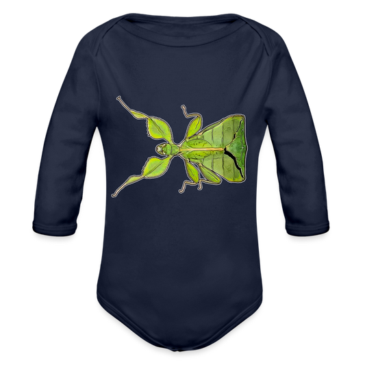 Baby Body lang Phyllium philippinicum female - Dunkelnavy