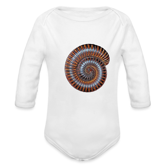 Baby Body lang Archispirostreptus gigas - weiß