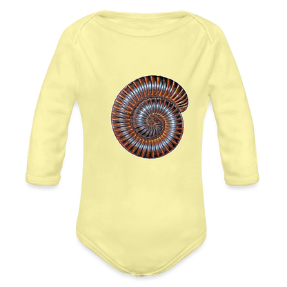 Baby Body lang Archispirostreptus gigas - Hellgelb