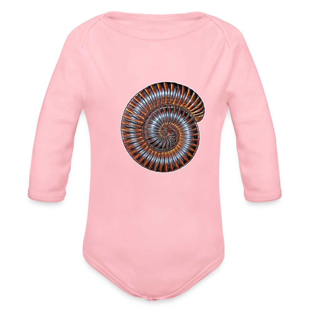 Baby Body lang Archispirostreptus gigas - Hellrosa