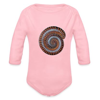 Baby Body lang Archispirostreptus gigas - Hellrosa