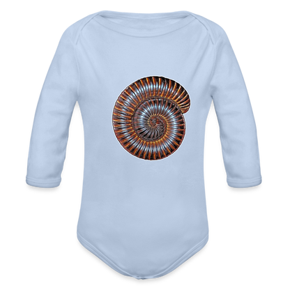 Baby Body lang Archispirostreptus gigas - Sky