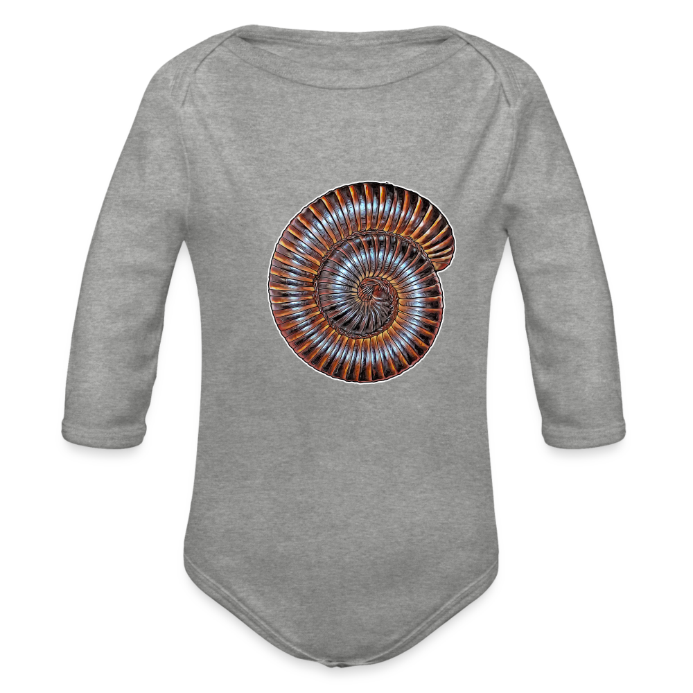 Baby Body lang Archispirostreptus gigas - Grau meliert