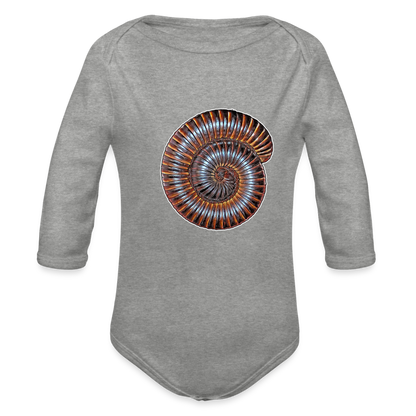 Baby Body lang Archispirostreptus gigas - Grau meliert