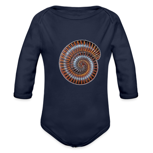 Baby Body lang Archispirostreptus gigas - Dunkelnavy