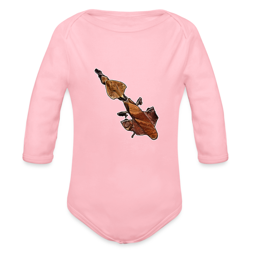 Baby Body lang Phyllocrania paradoxa female - Hellrosa