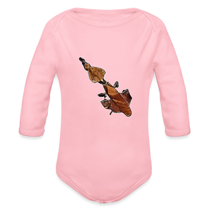Baby Body lang Phyllocrania paradoxa female - Hellrosa