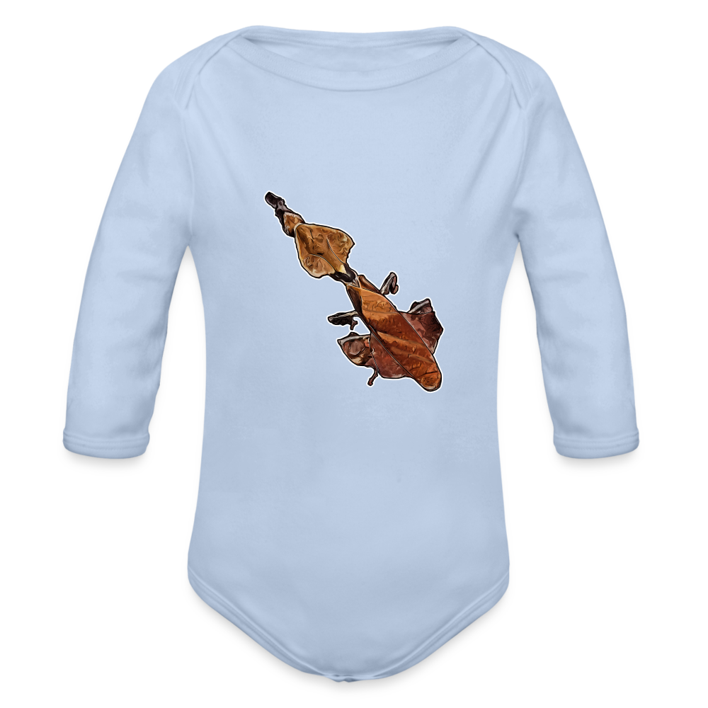 Baby Body lang Phyllocrania paradoxa female - Sky