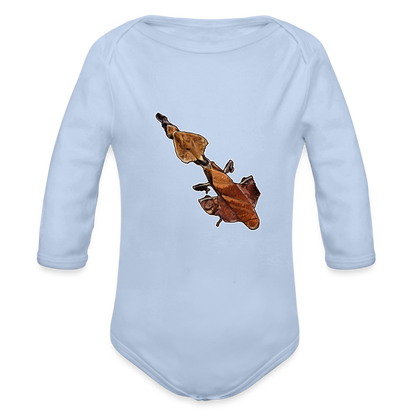 Baby Body lang Phyllocrania paradoxa female - Sky