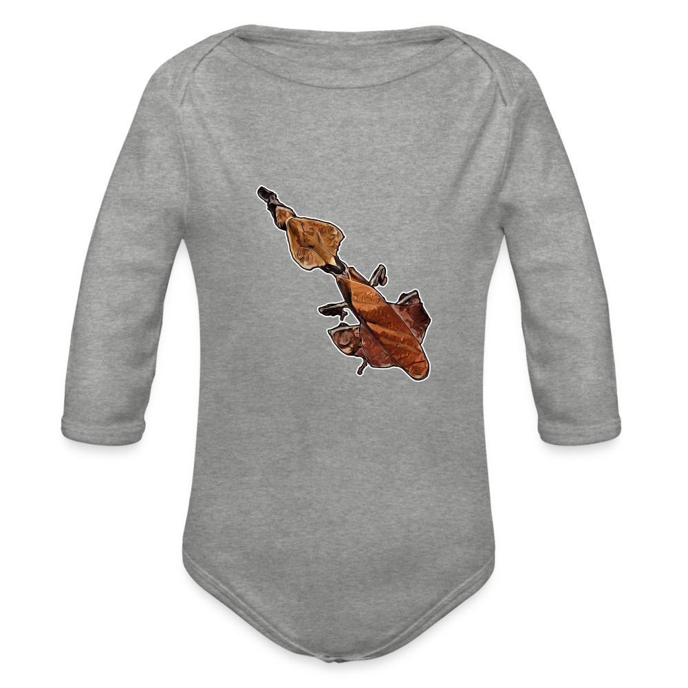 Baby Body lang Phyllocrania paradoxa female - Grau meliert