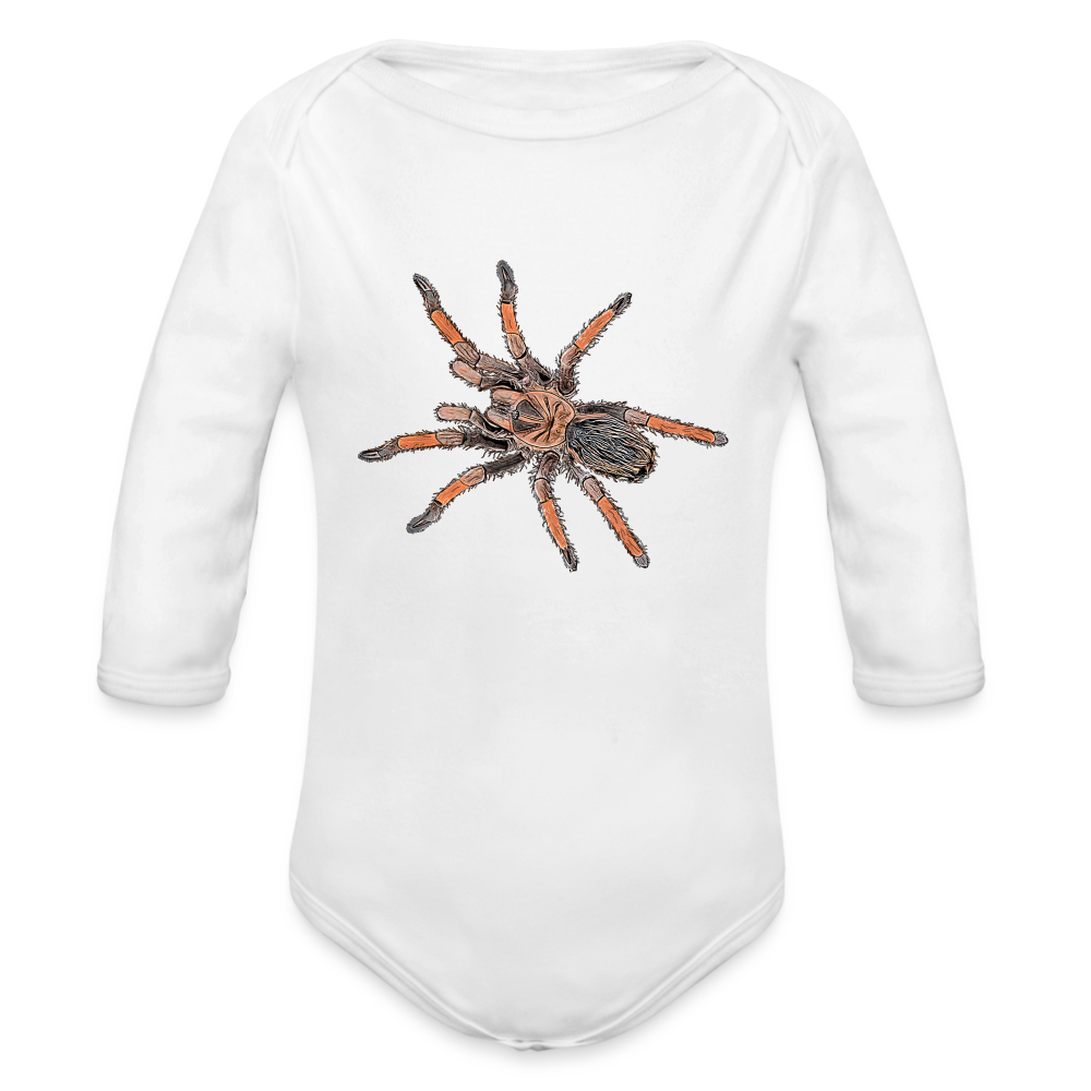 Baby Body lang Brachypelma emilia - weiß