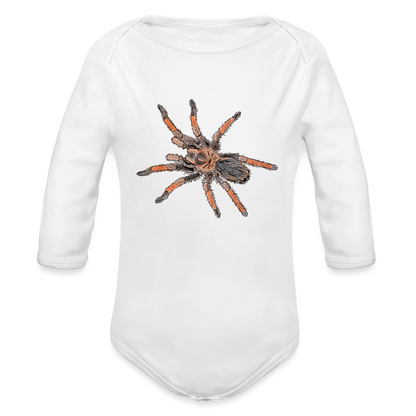 Baby Body lang Brachypelma emilia - weiß