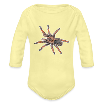 Baby Body lang Brachypelma emilia - Hellgelb