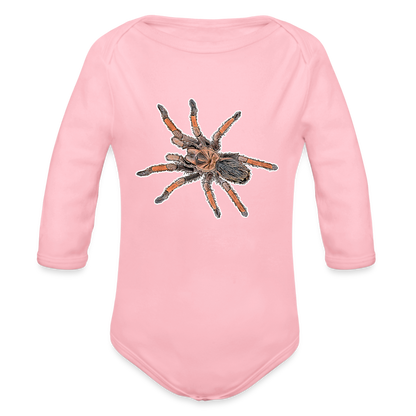 Baby Body lang Brachypelma emilia - Hellrosa