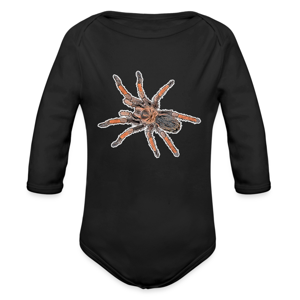 Baby Body lang Brachypelma emilia - Schwarz