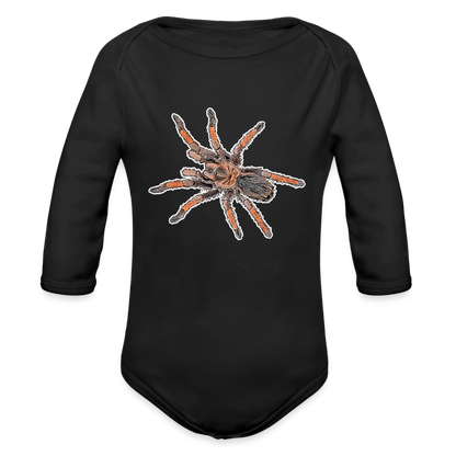 Baby Body lang Brachypelma emilia - Schwarz