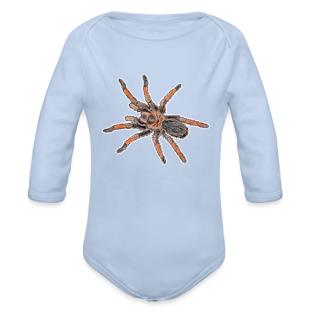 Baby Body lang Brachypelma emilia - Sky