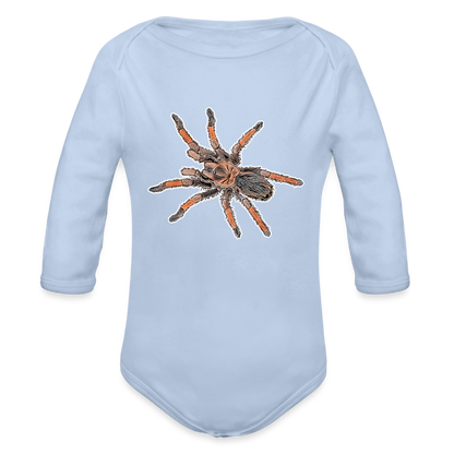 Baby Body lang Brachypelma emilia - Sky