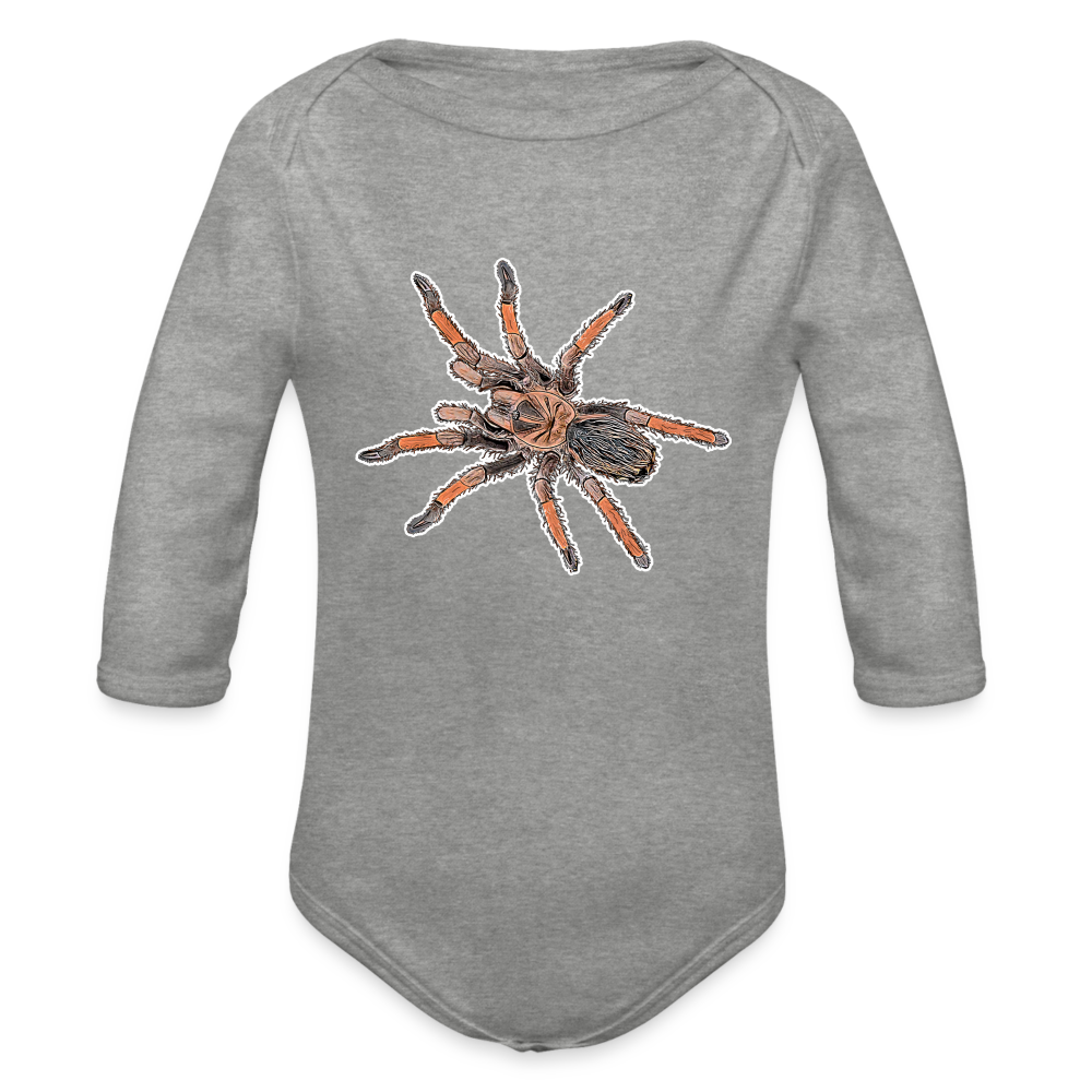 Baby Body lang Brachypelma emilia - Grau meliert