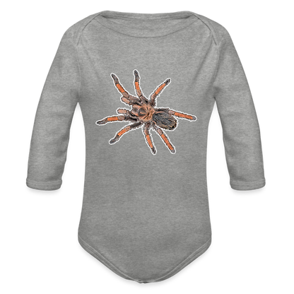 Baby Body lang Brachypelma emilia - Grau meliert