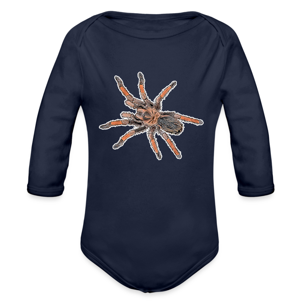 Baby Body lang Brachypelma emilia - Dunkelnavy