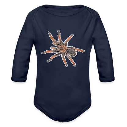 Baby Body lang Brachypelma emilia - Dunkelnavy
