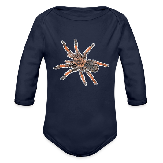 Baby Body lang Brachypelma emilia - Dunkelnavy