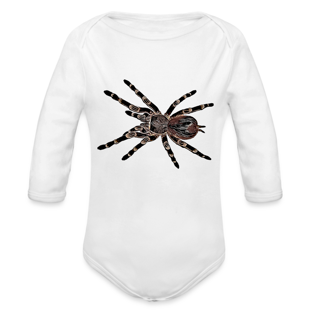 Baby Body lang Acanthoscurria geniculata - weiß