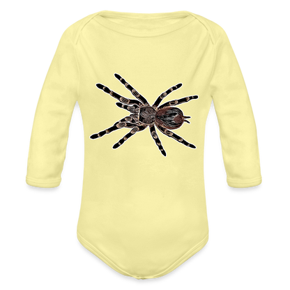 Baby Body lang Acanthoscurria geniculata - Hellgelb