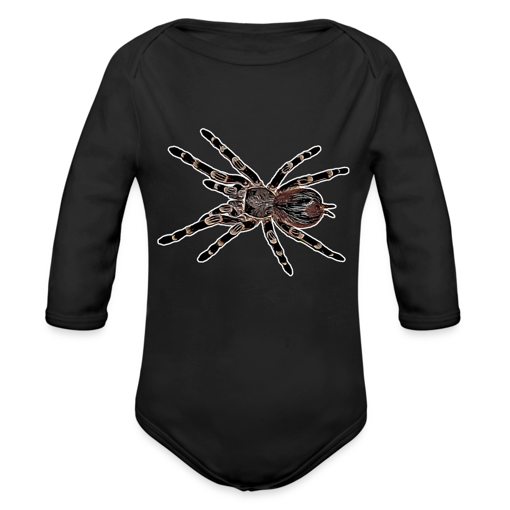 Baby Body lang Acanthoscurria geniculata - Schwarz