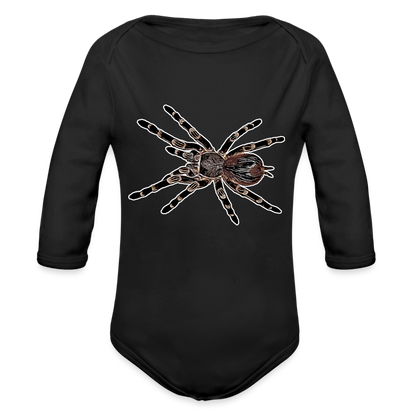 Baby Body lang Acanthoscurria geniculata - Schwarz