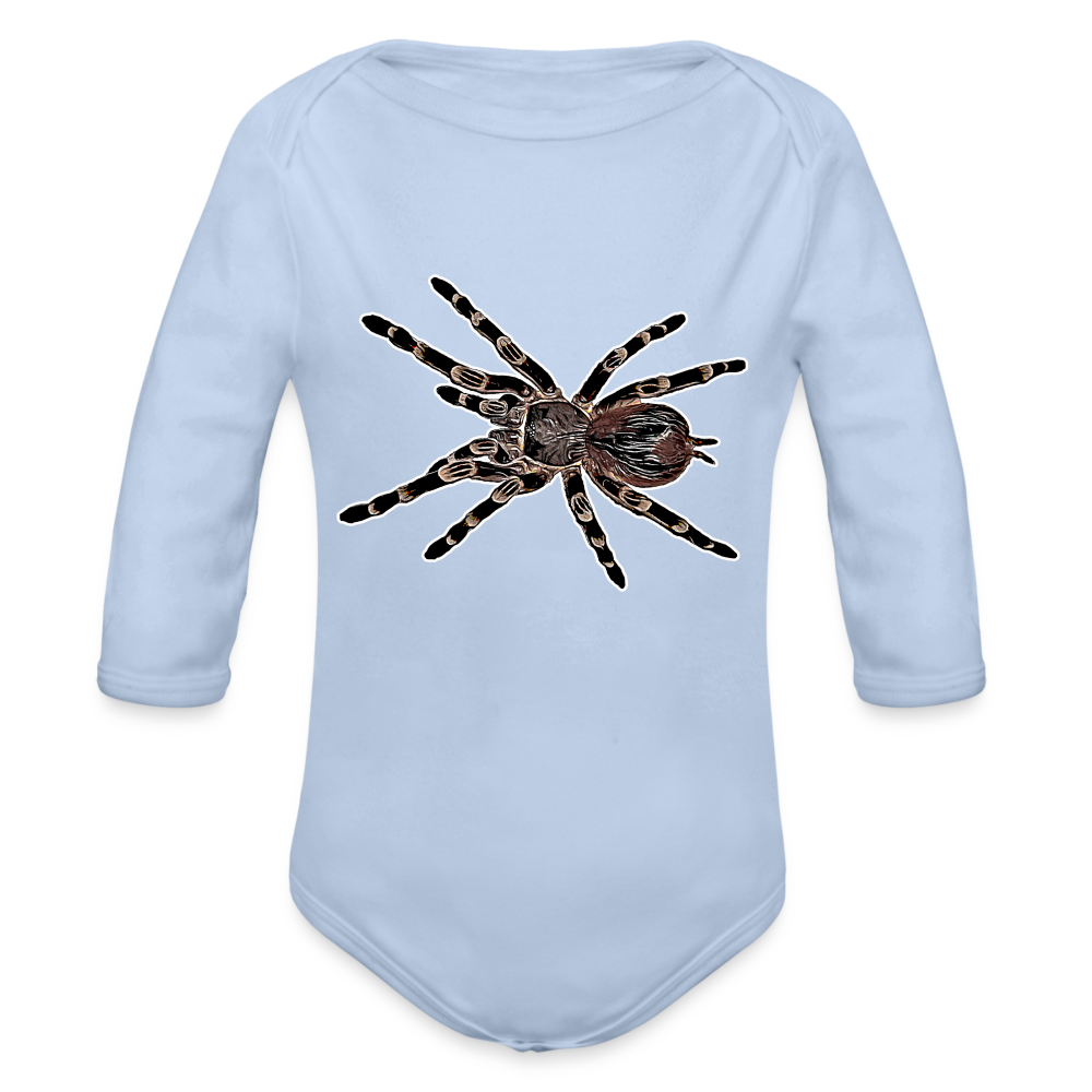 Baby Body lang Acanthoscurria geniculata - Sky