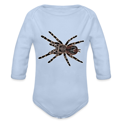 Baby Body lang Acanthoscurria geniculata - Sky