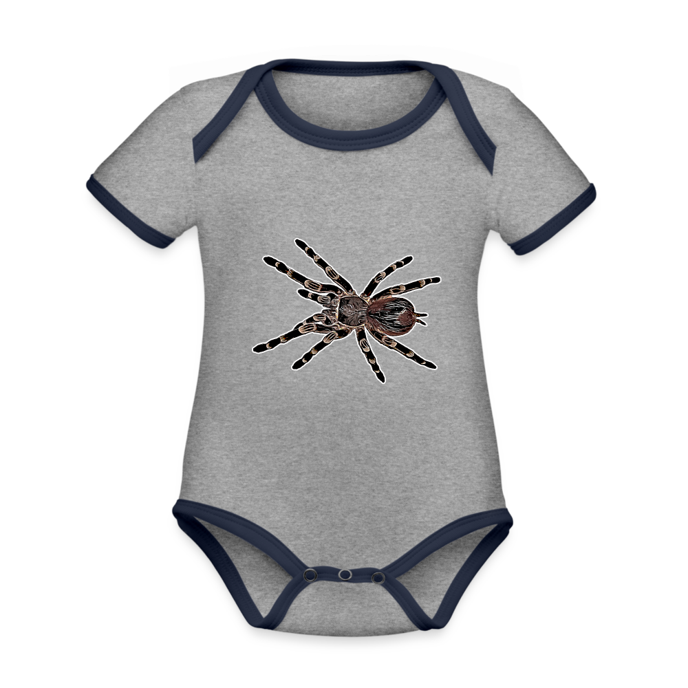 Baby Kontrastbody kurz - Grau meliert/Navy
